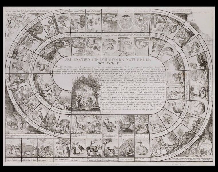 Jeu instructif d'histoire naturelle des animaux